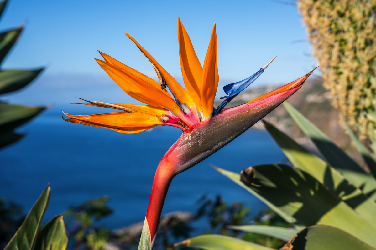 ©Andreas Mariotti - stock.adobe.com