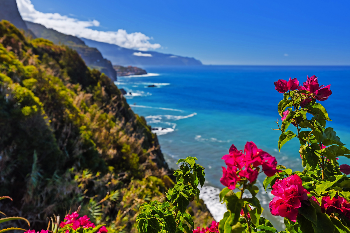 © Nikolai Sorokin - stock.adobe.com