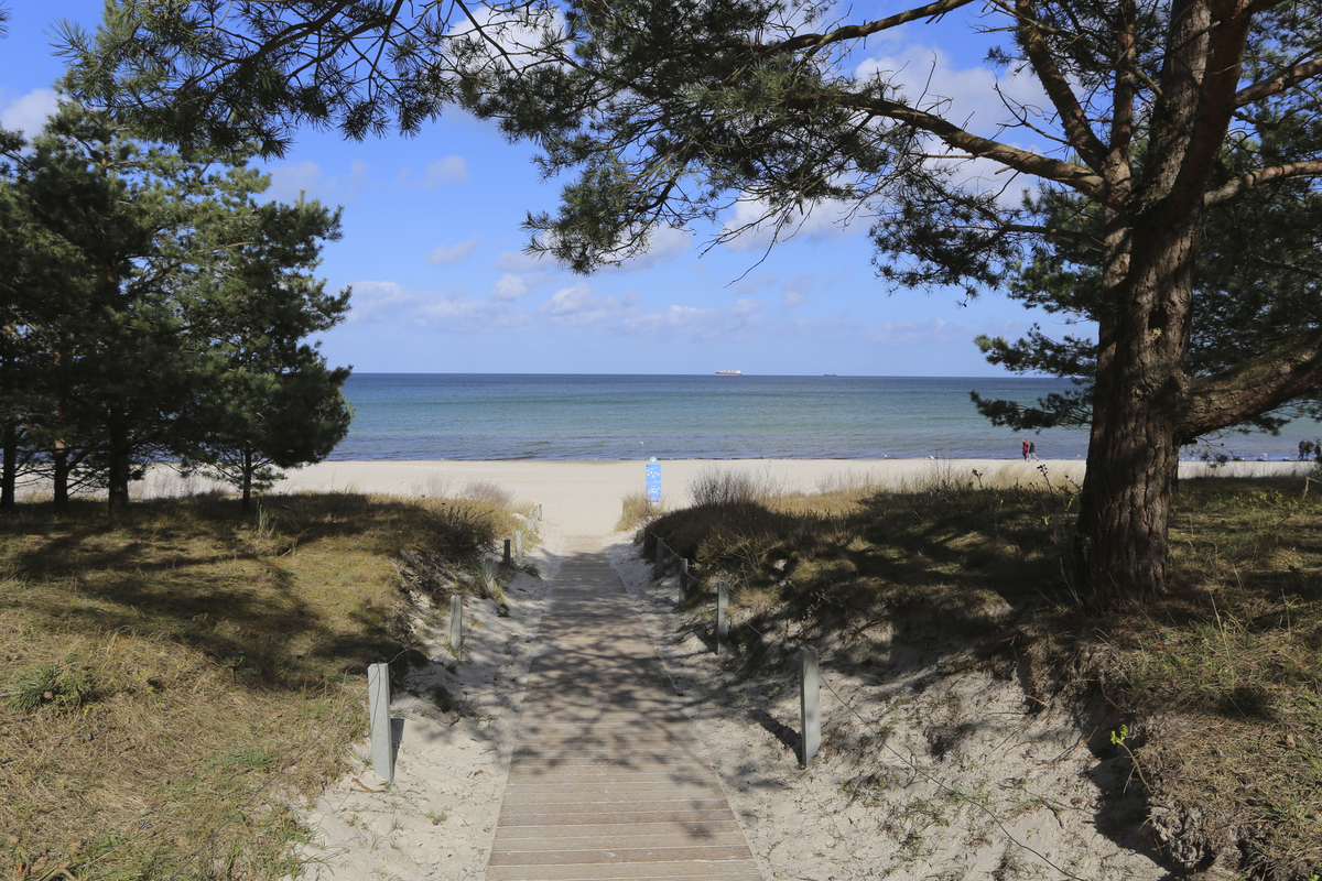 Rugard Thermal Strandhotel 