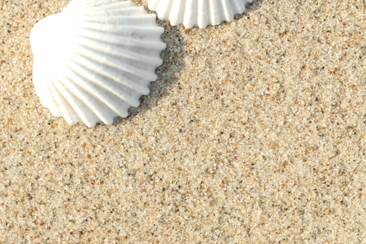 ©mahey - stock.adobe.com