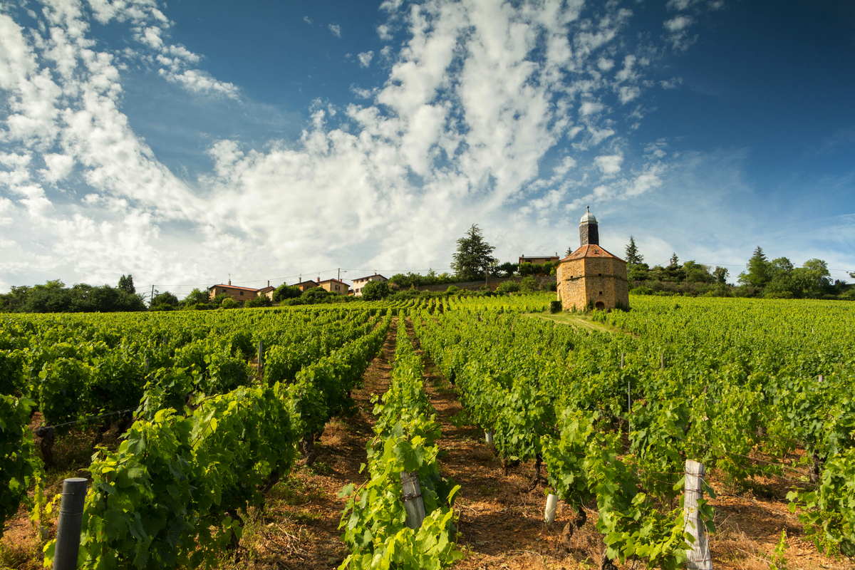 © jorick - stock.adobe.com