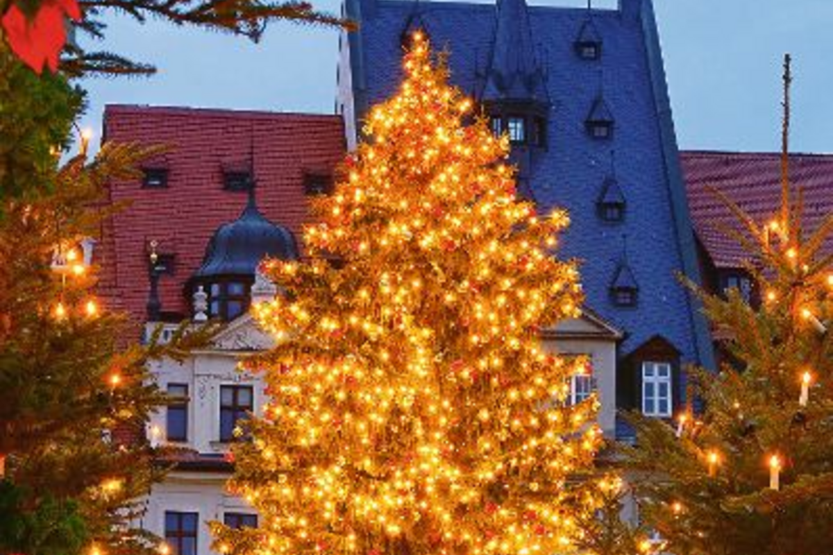 © LianeM - Fotolia