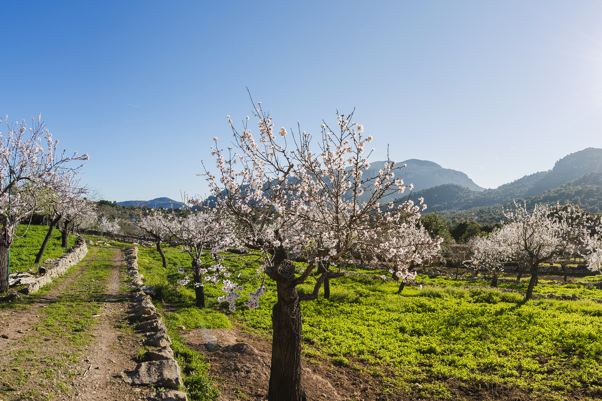 © Sebas - stock.adobe.com