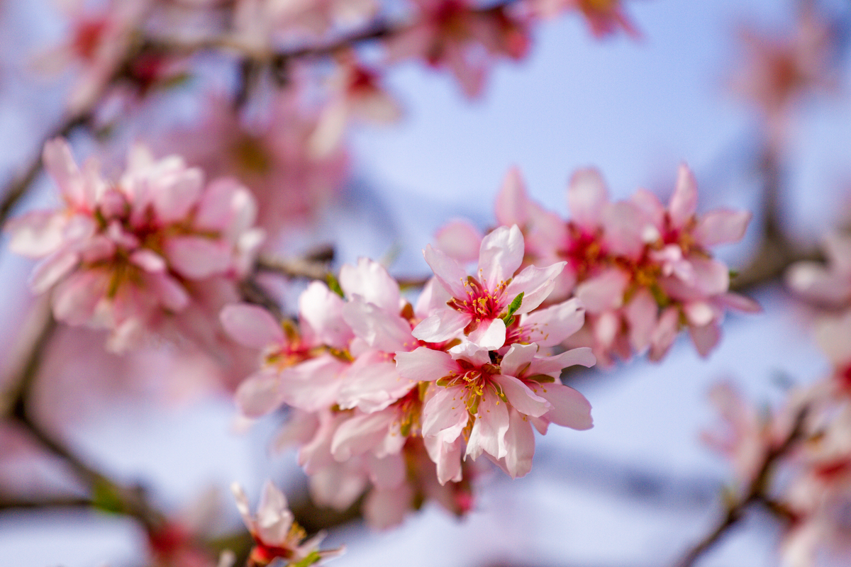 © vejaa - stock.adobe.com
