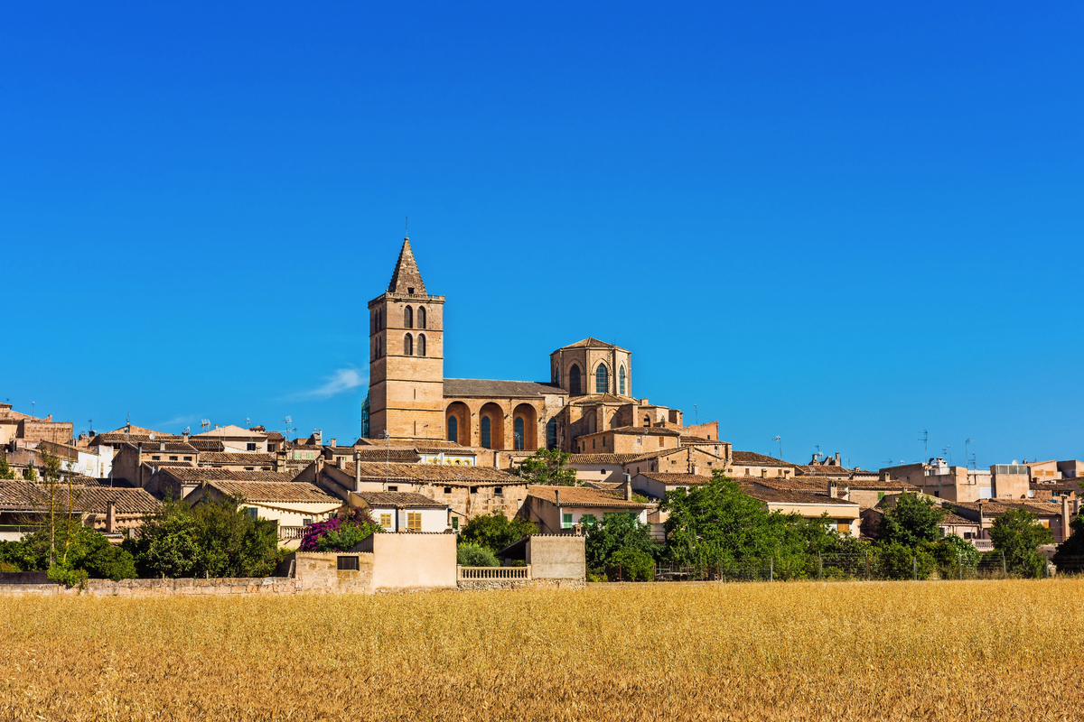 © allard1 - stock.adobe.com