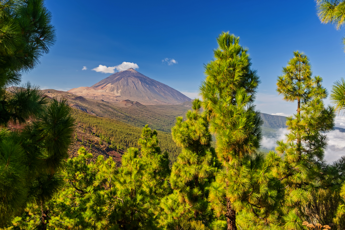 © Henner Damke - stock.adobe.com