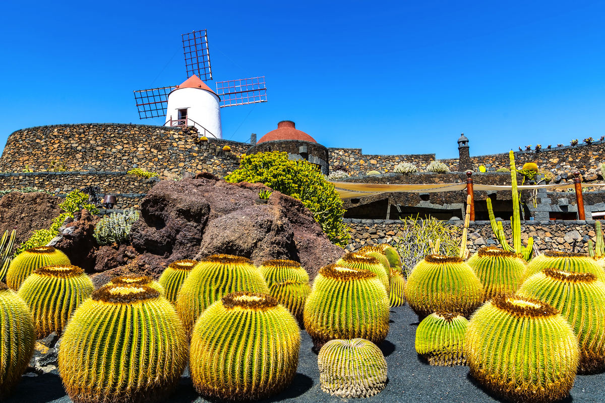 © olenatur - stock.adobe.com