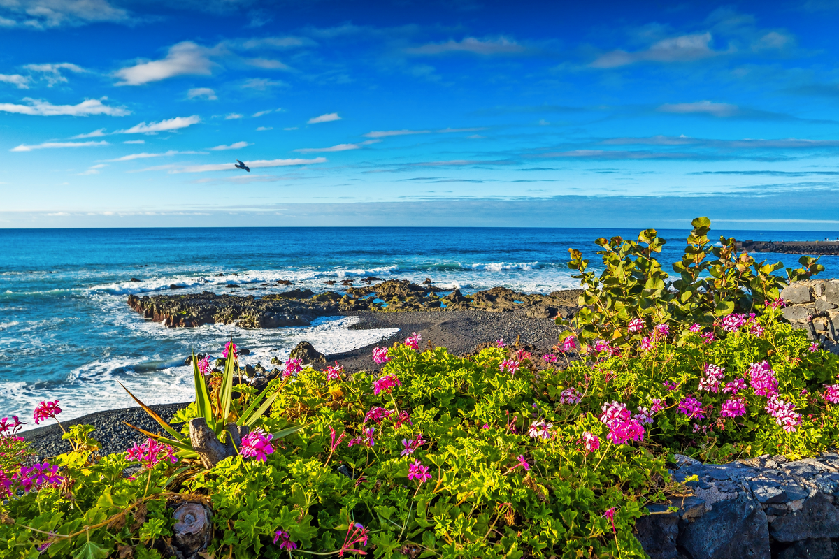 © davis - stock.adobe.com