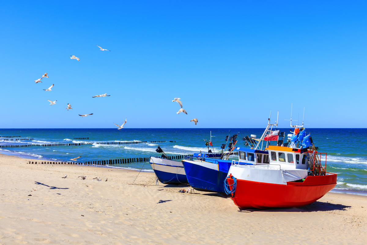 © pkazmierczak - stock.adobe.com