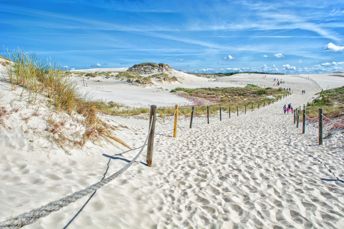 © Michael Sierdzinski - stock.adobe.com