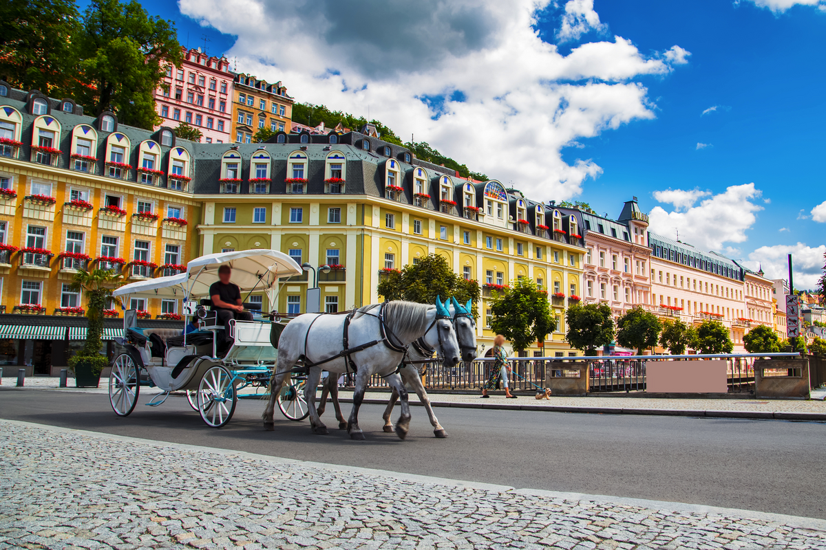 © Ivan Kurmyshov - stock.adobe.com