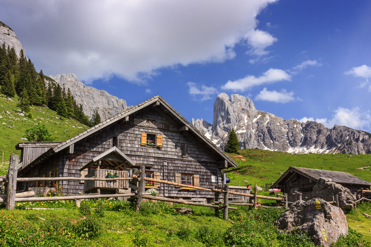 © Lisa Payr - stock.adobe.com
