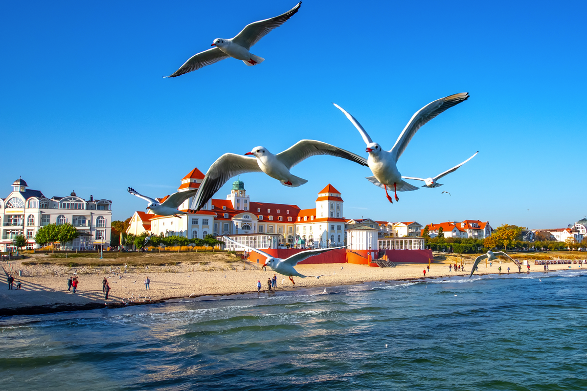 © Comofoto - stock.adobe.com