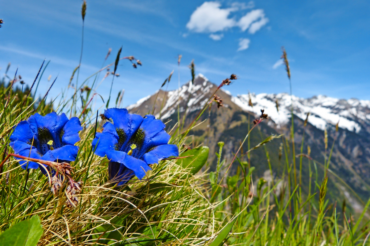 © by paul - Fotolia