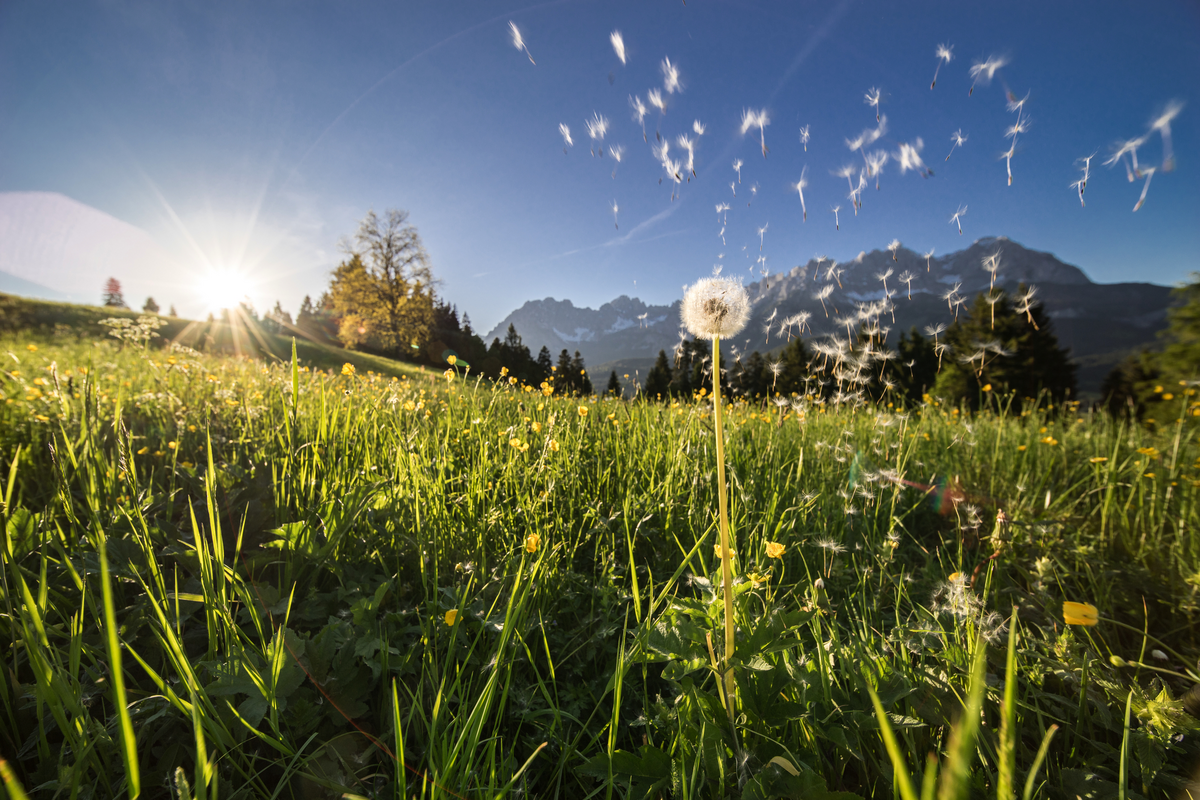 ©eafoto.at - stock.adobe.com