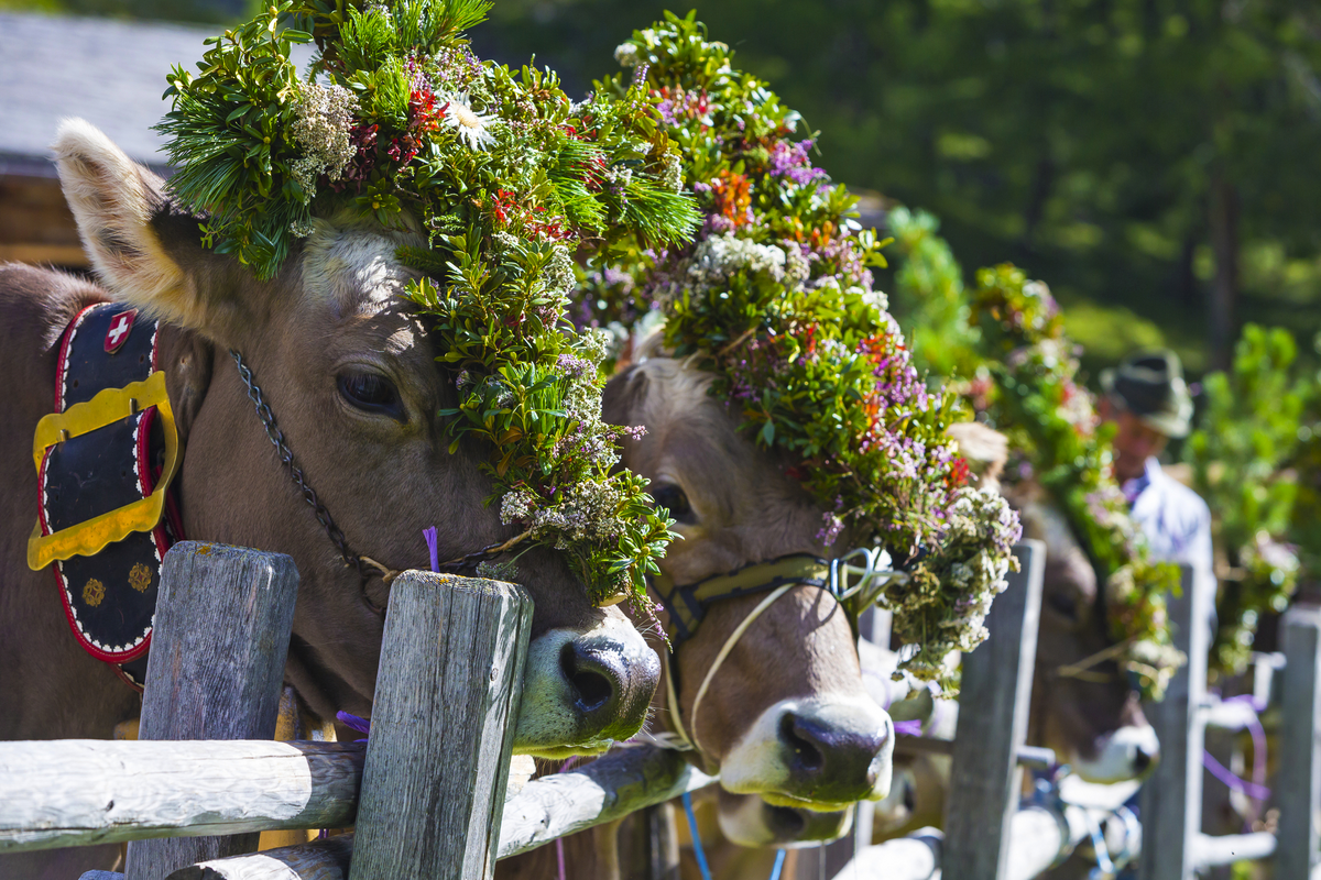 ©mmphoto - stock.adobe.com