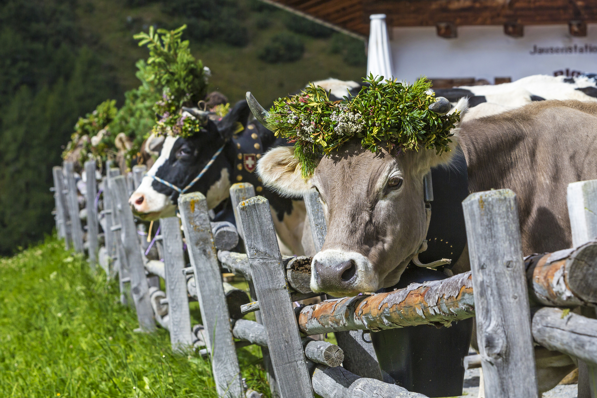 ©mmphoto - stock.adobe.com