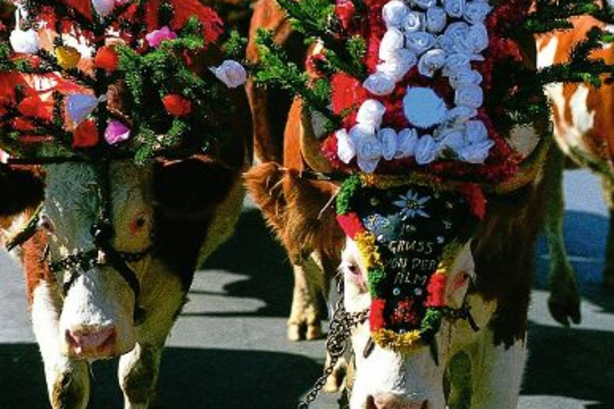 © TVB Wildschönau
