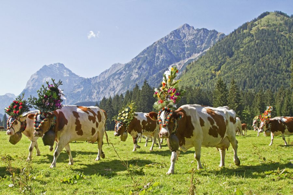 © Christa Eder - Fotolia