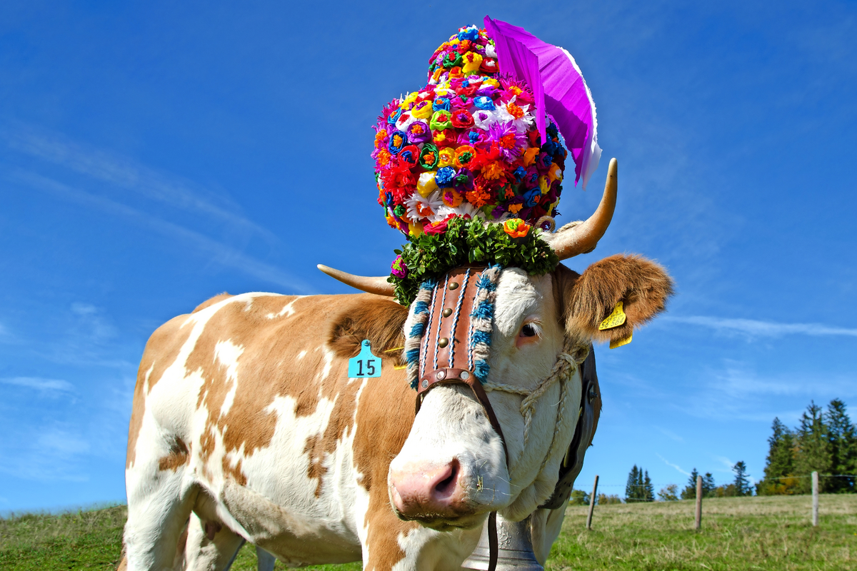 © andal1991 - Fotolia