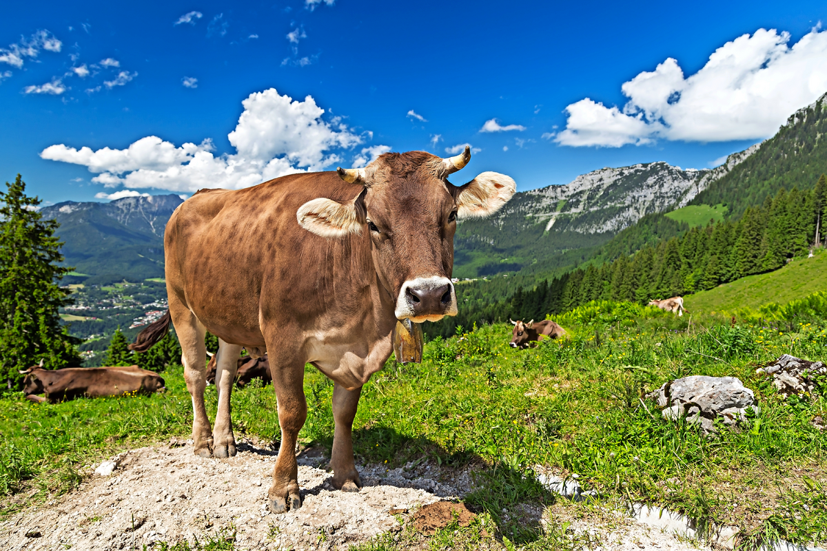 © stockphoto-graf - Fotolia