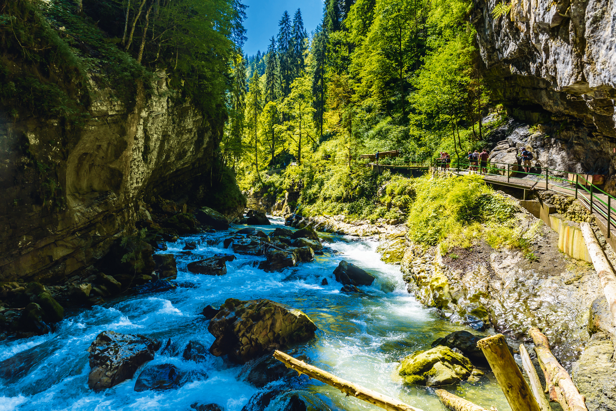 ©Simon Dannhauer - stock.adobe.com