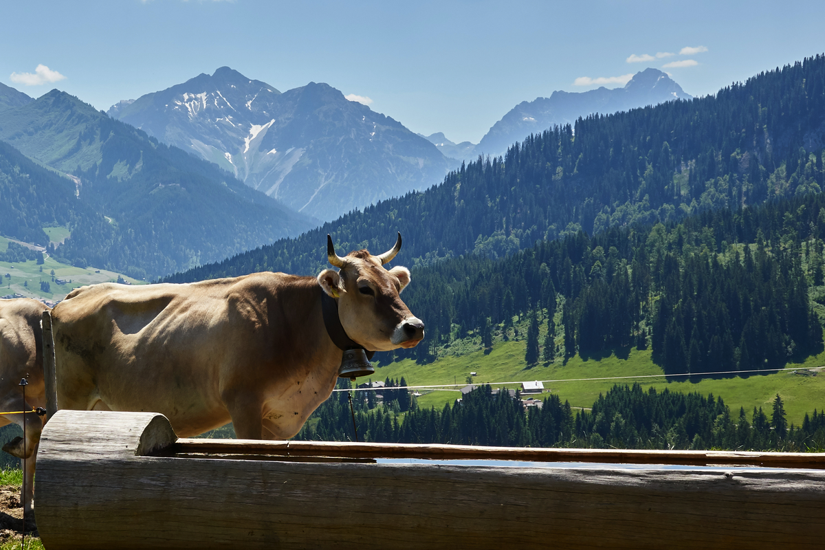 ©Michael Fritzen - stock.adobe.com