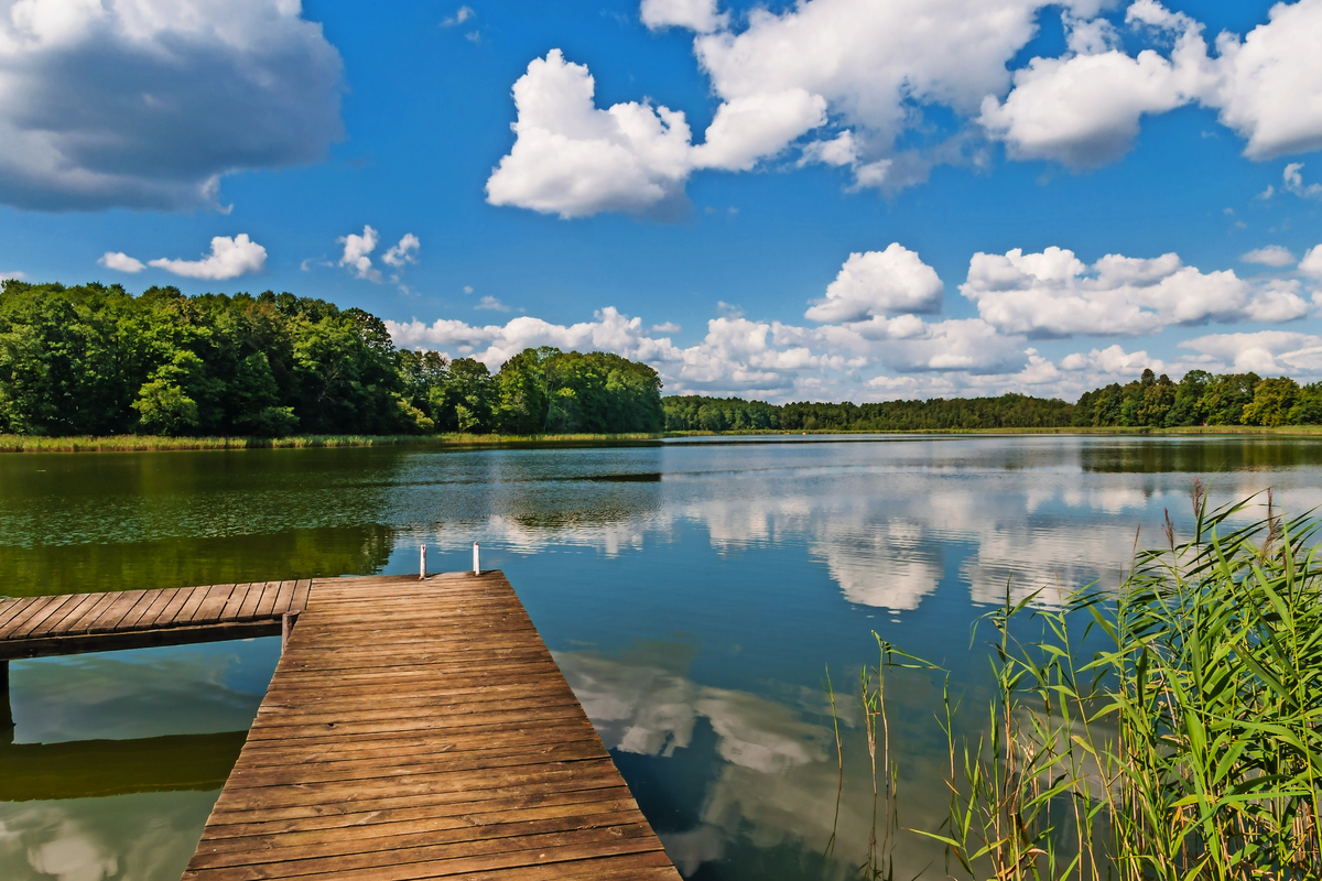 © majonit - Fotolia