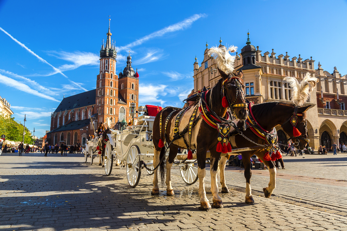 ©Sergii Figurnyi - stock.adobe.com