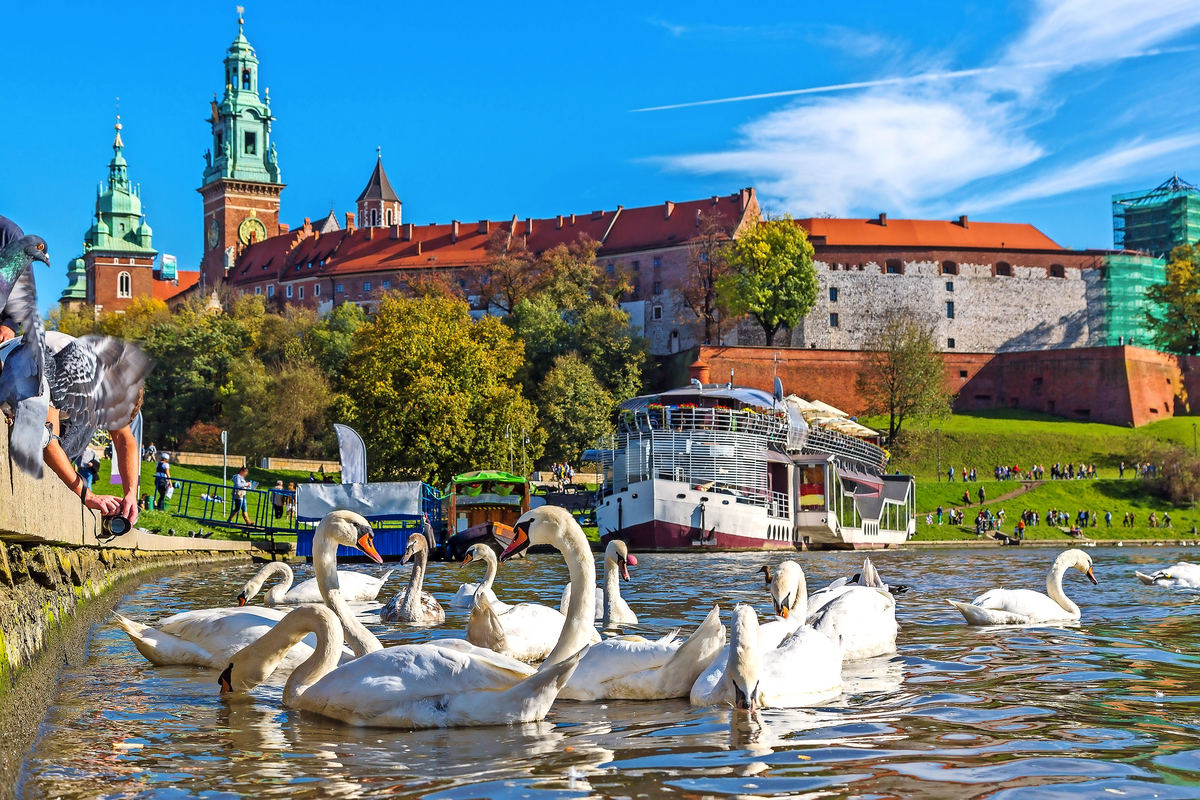 © Sergii Figurnyi - Fotolia