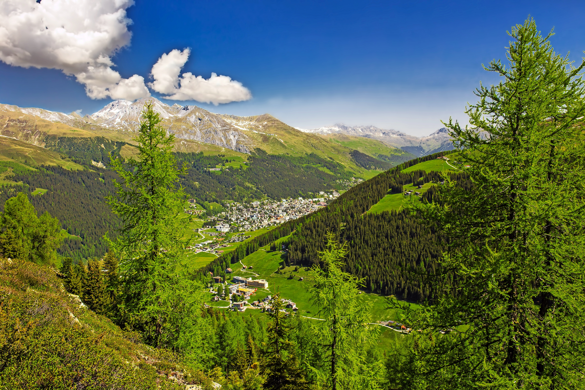 © gevisions - stock.adobe.com
