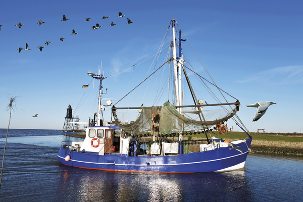 Küstenzauber an Elbe und Weser