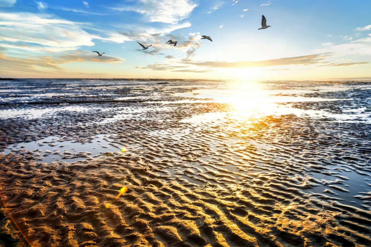 © Sina Ettmer - stock.adobe.com