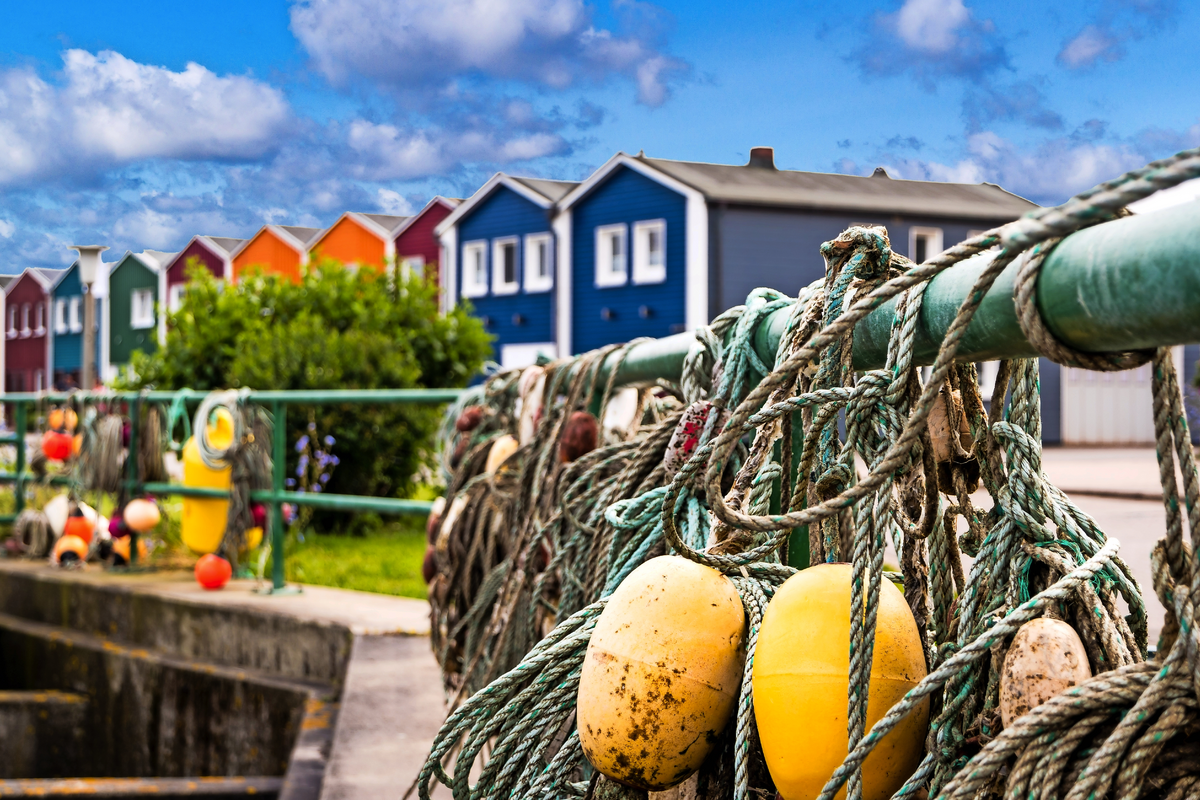 © animaflora - Fotolia