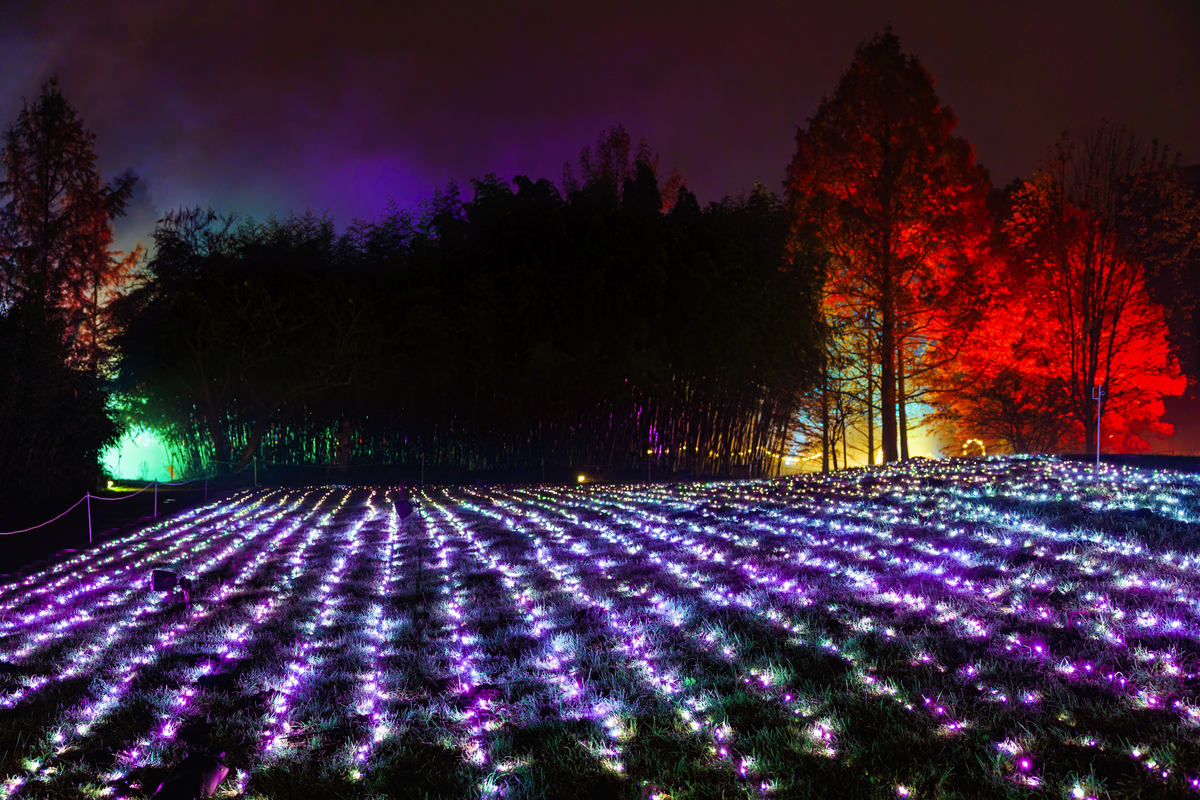 © Christmas Garden, Michael Clemens