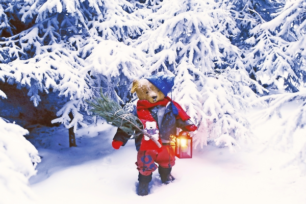 Weihnachtstal Mühltal