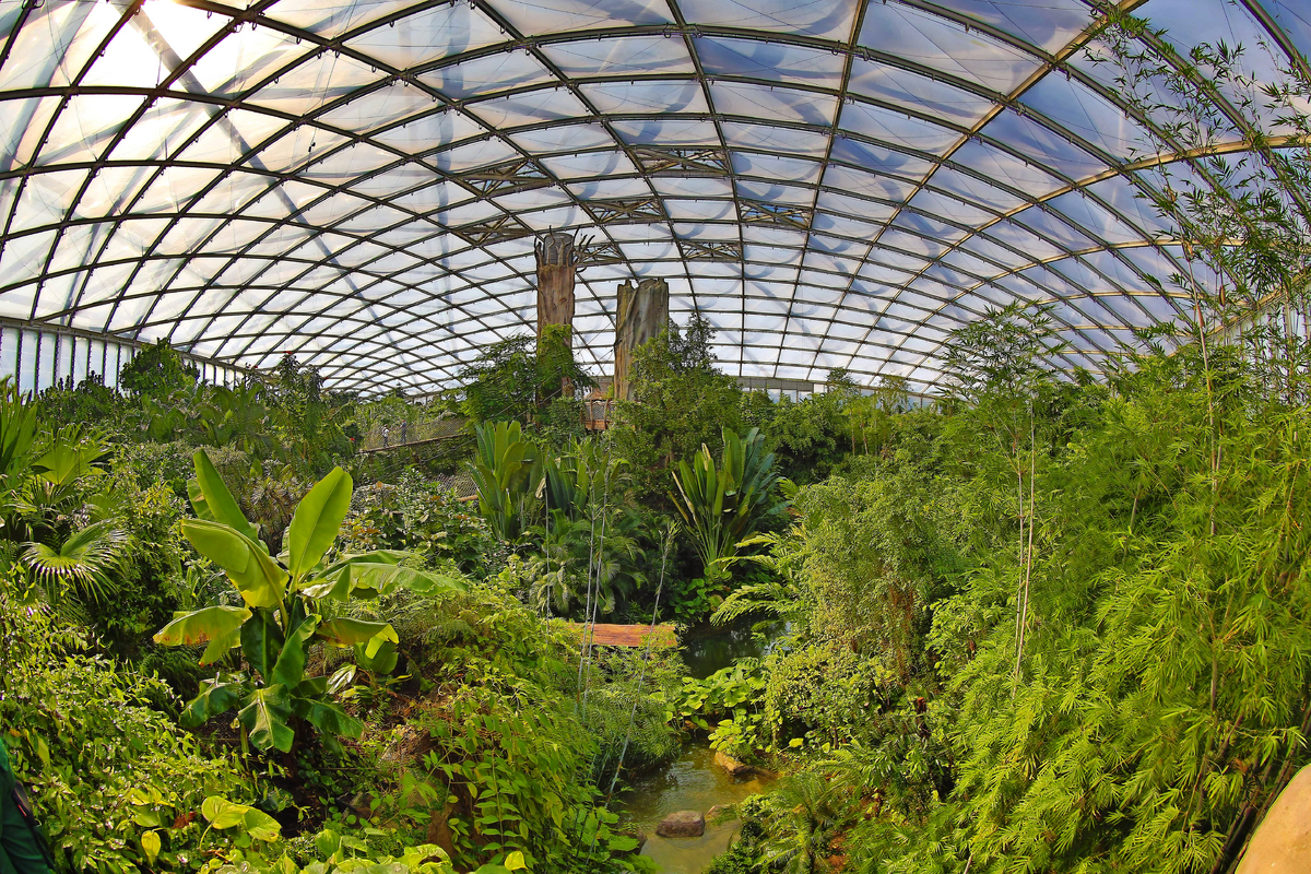 © Zoo Leipzig