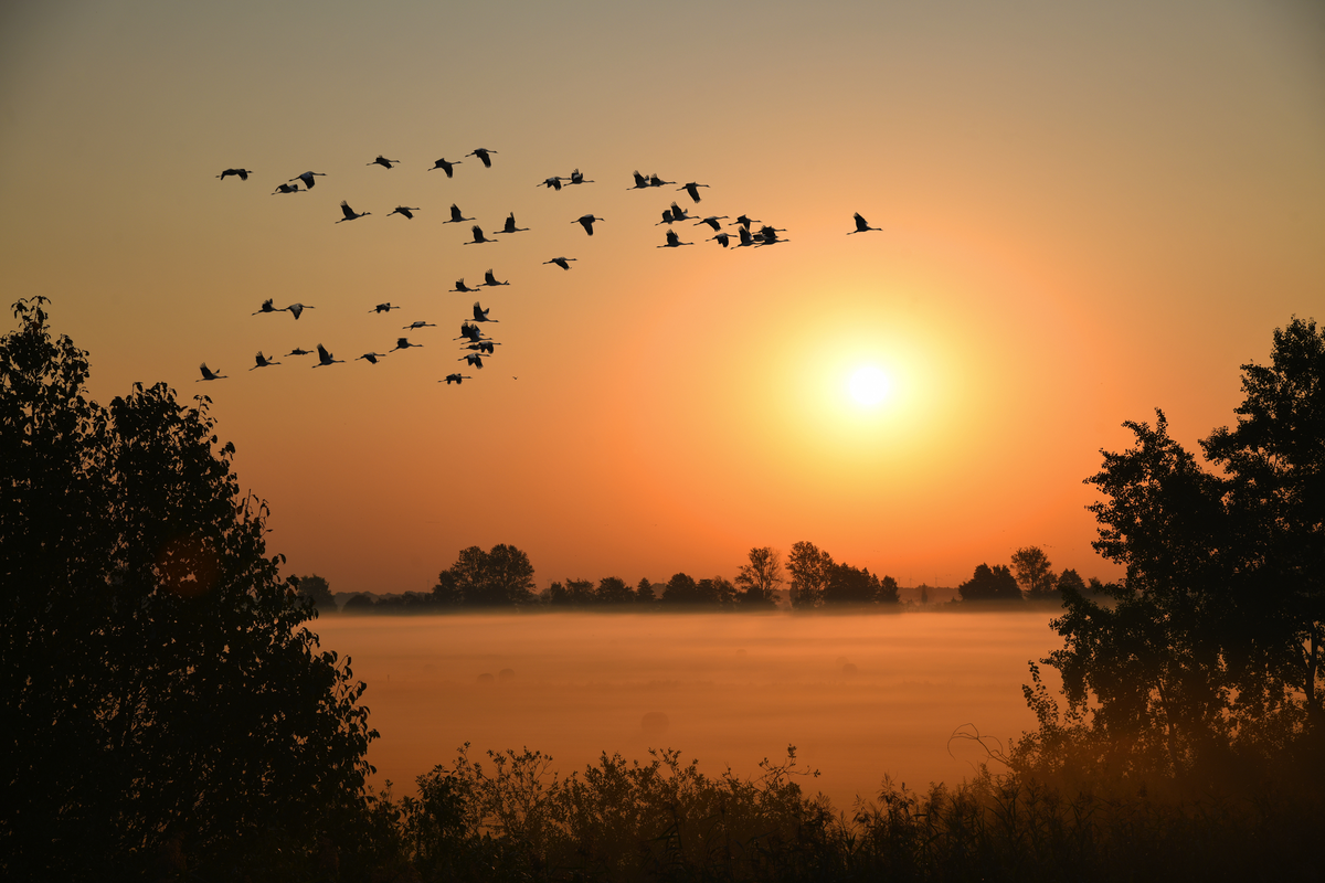 © Thomas Zelonka - stock.adobe.com