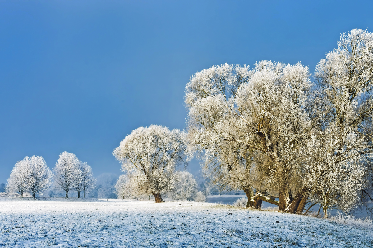 © Blickfang - Fotolia