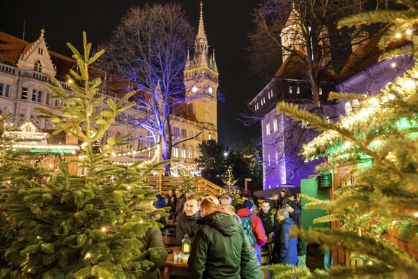 Weihnachtsmarkt in Braunschweig mit Domführung 