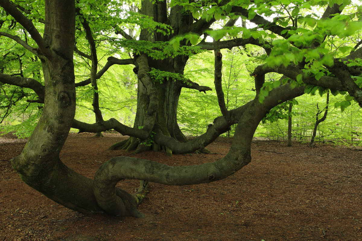 © hecke71 - stock.adobe.com