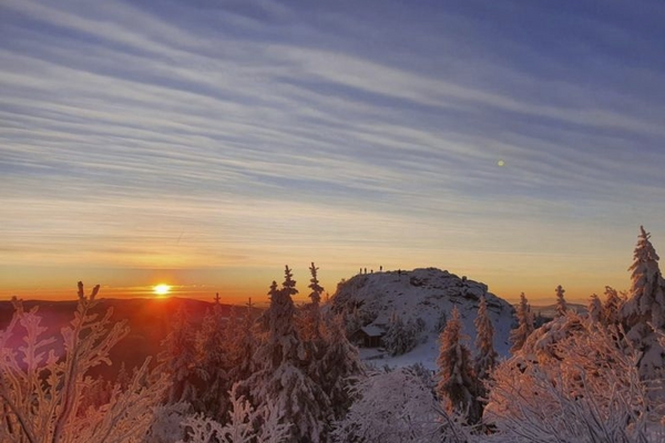 Waldgeister im Bayerischen Wald