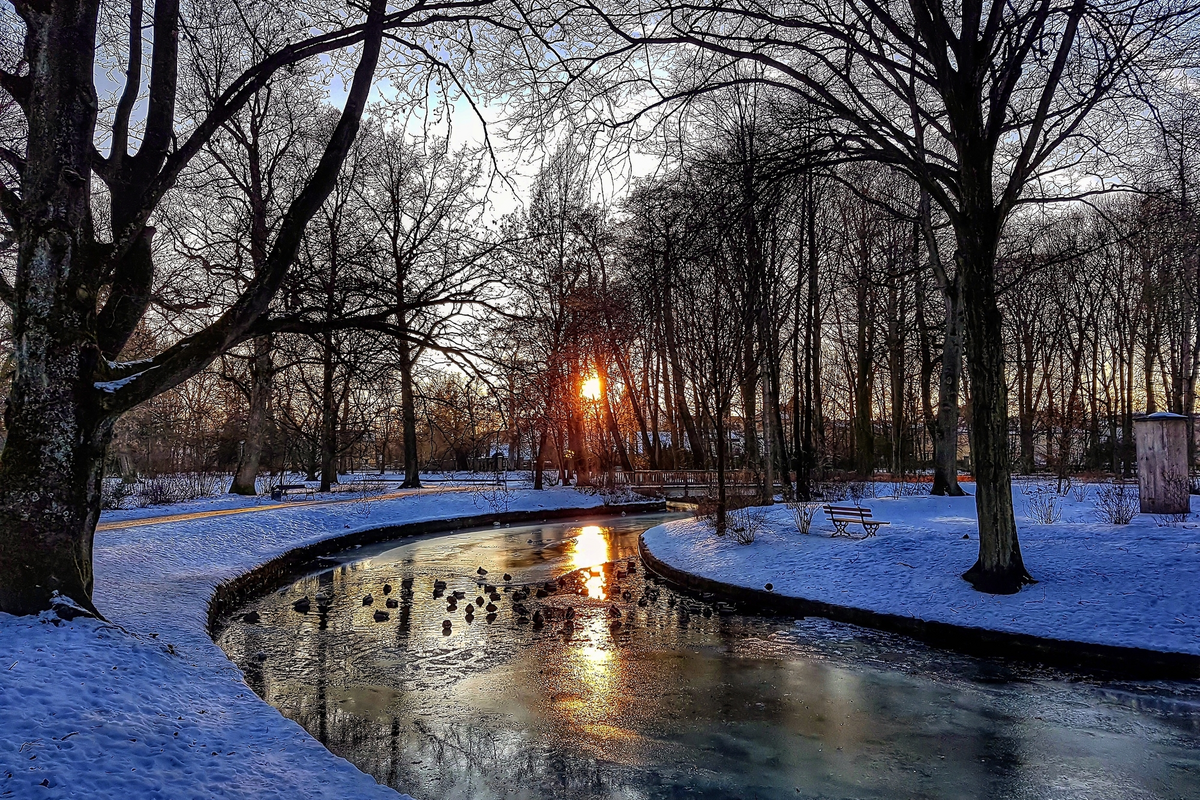© Ramona Schirner