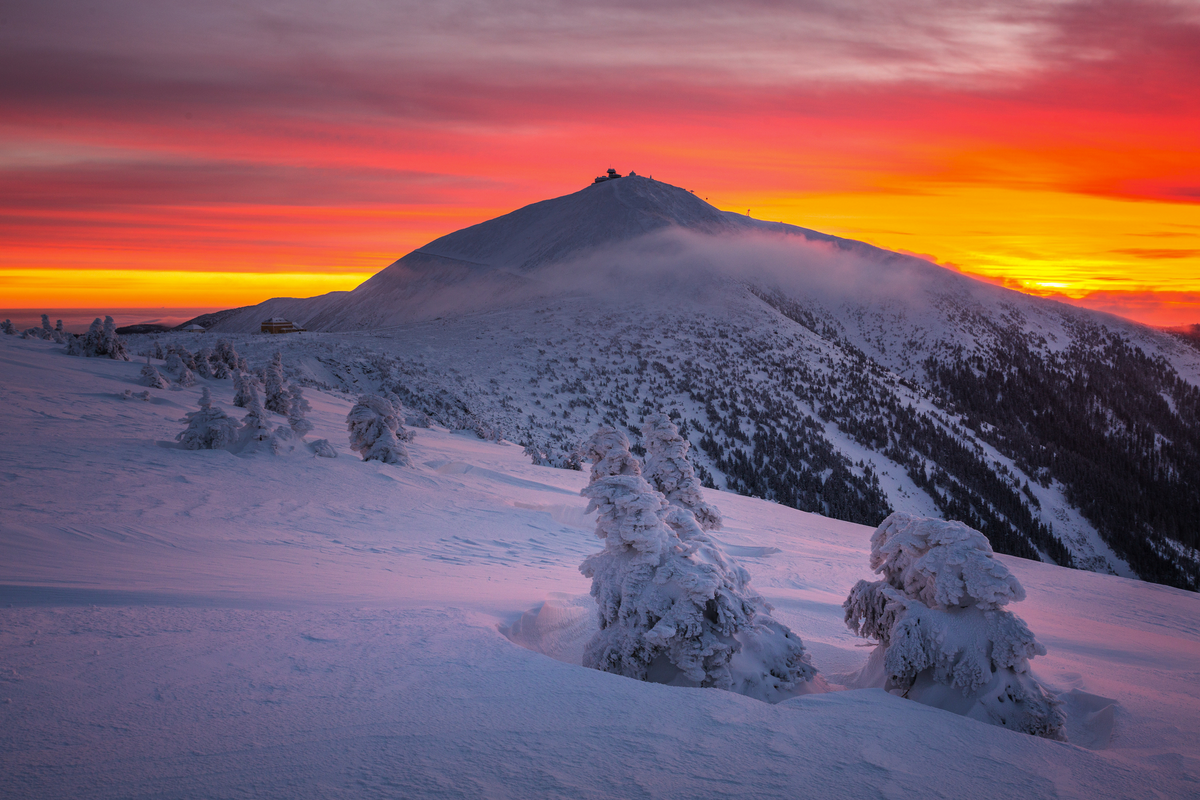 ©PawelUchorczak - stock.adobe.com