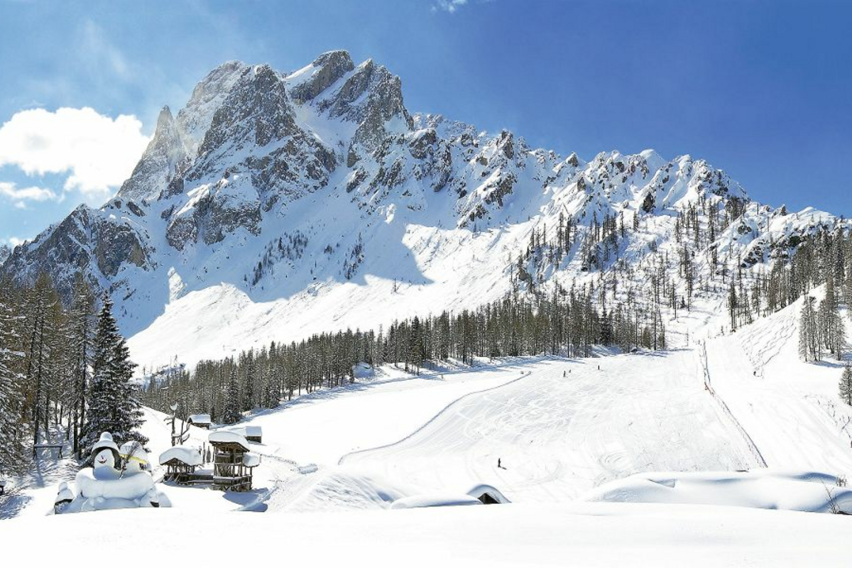 © Pecold - Fotolia