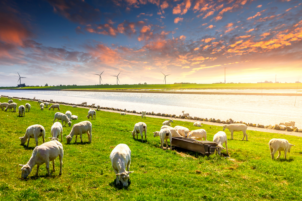 © Sina Ettmer - stock.adobe.com