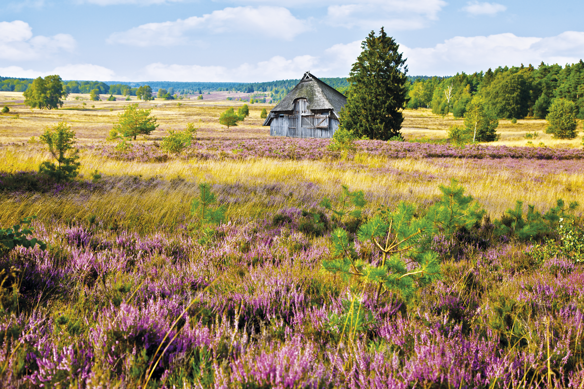 ©Gabriele Rohde - stock.adobe.com