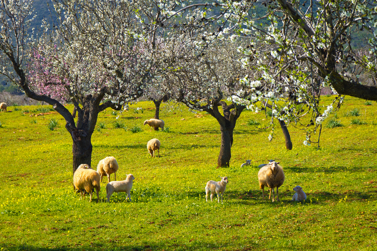 ©tournee - stock.adobe.com