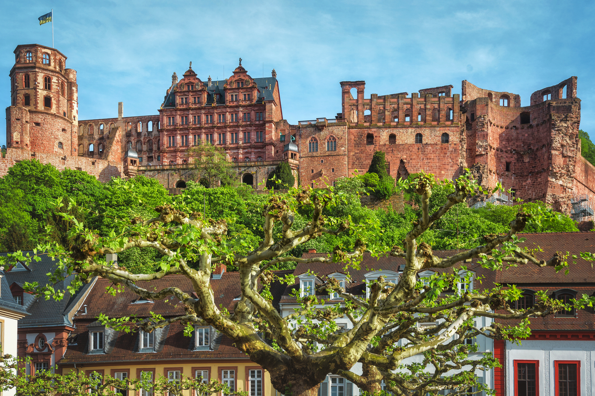 © Thorsten Assfalg - stock.adobe.com