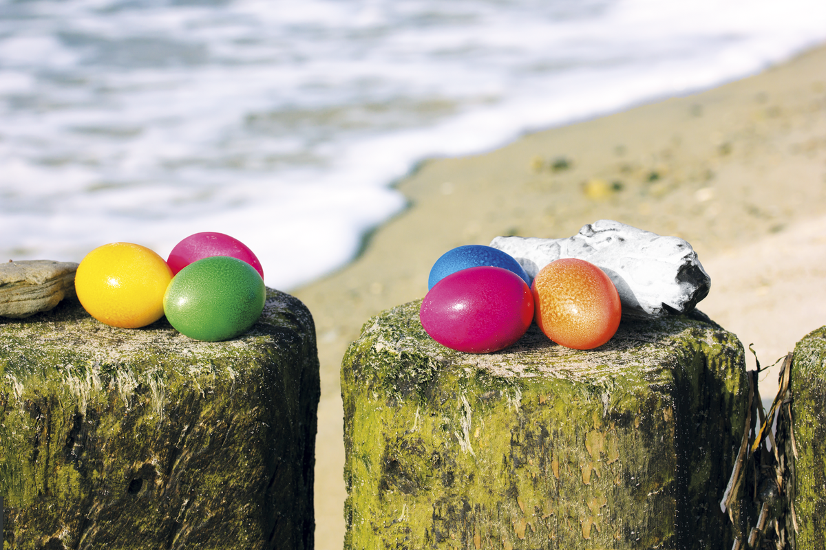 © Eric Nordas - Fotolia
